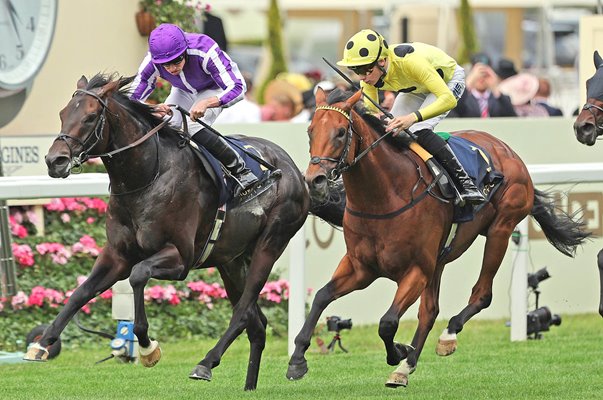Billy Loughnane & Bow Echo win St James's Palace Stakes Royal Ascot 2026