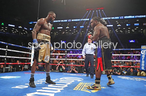 Deontay Wilder v Bermane Stiverne WBC heavyweight title fight New York 2017