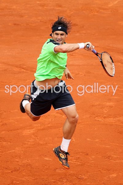 David Ferrer French Open Final 2013