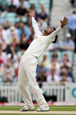 Mohammad Amir ecstatic about his wicket