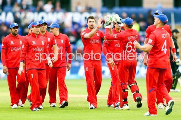 James Anderson and England celebrate Cardiff 2013