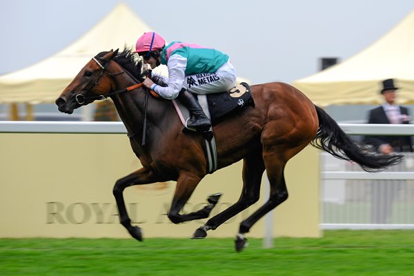 Tom Queally wins on Riposte Royal Ascot 2013 