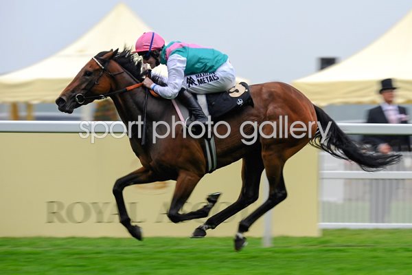 Tom Queally wins on Riposte Royal Ascot 2013 