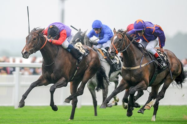 Ryan Moore on Estimate win Gold Cup Royal Ascot 2013 