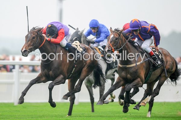 Ryan Moore on Estimate win Gold Cup Royal Ascot 2013 