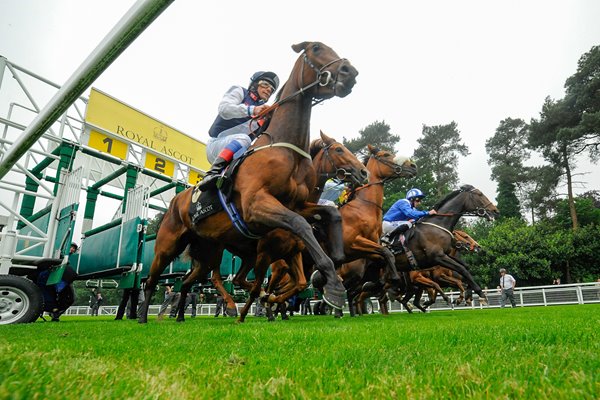 Horses start at Royal Ascot 2013