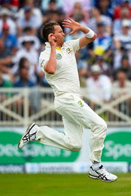 Peter Siddle Australia bowls Trent Bridge Ashes 2013