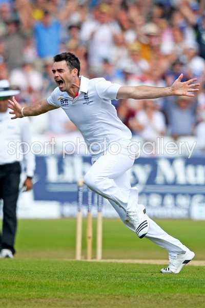 James Anderson 1st Test Ashes 2013 England