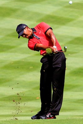 Tiger Woods WGC Bridgestone Invitational Champion 2013