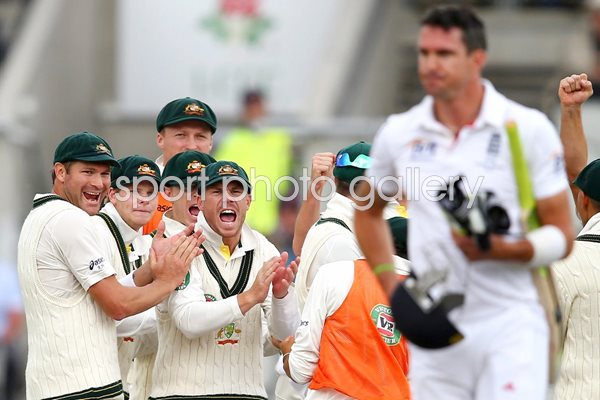 Australia celebrate Pietersen wicket Ashes 2013