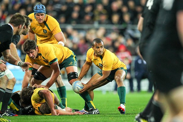 Wil Genia Australia Rugby Championship Wellington 2014