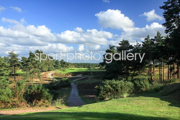 Sunningdale Golf Club New Course 5th Hole