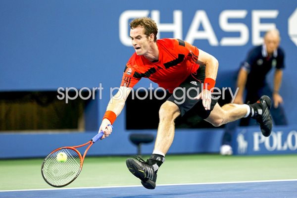 Andy Murray 