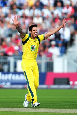 Mitchell Johnson Australia v England ODI 2013