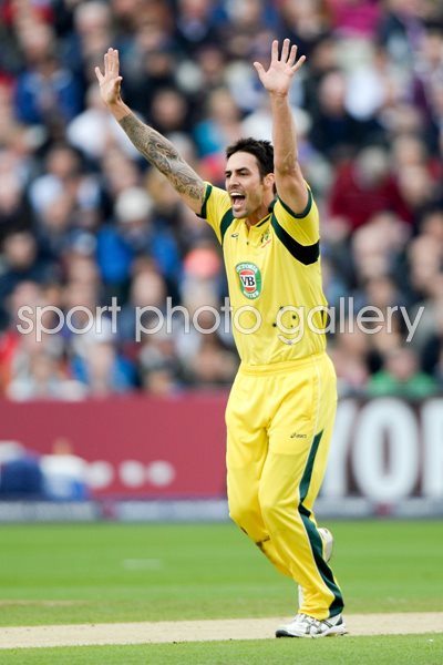 Mitchell Johnson Australia v England ODI 2013