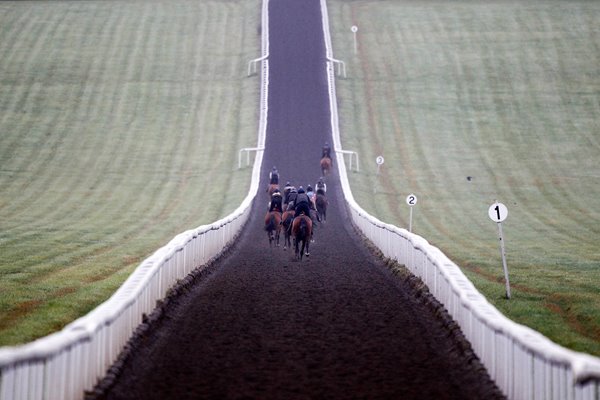 Warren Hill Gallops Newmarket 2013