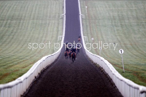 Warren Hill Gallops Newmarket 2013