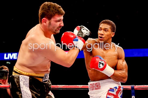 Anthony Joshua Pro Debut v Emmanuele Leo O2 2013