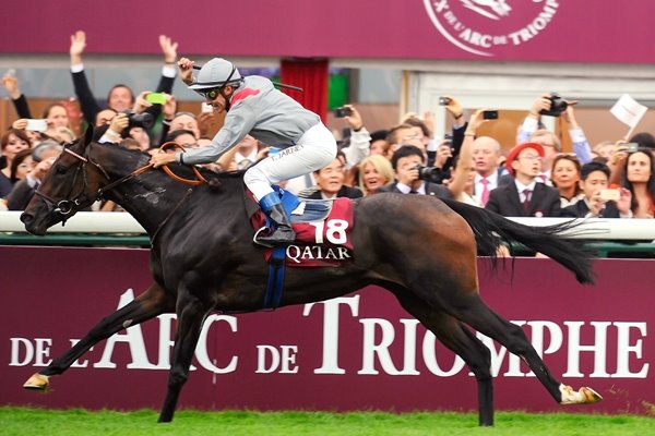 Thierry Jarnet Prix de l'Arc de Triomphe 2013