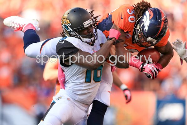 David Bruton Denver Broncos 2013