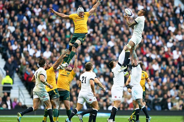 Courtney Lawes England v Australia Twickenham 2013