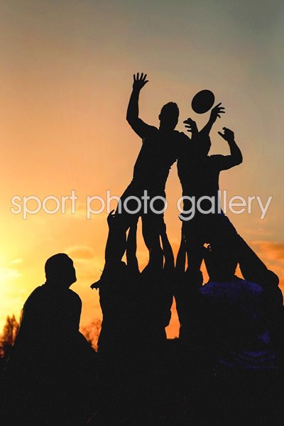  All Blacks Training at dawn