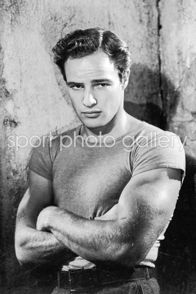 Portrait Of Marlon Brando