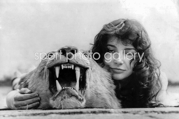 Kate Bush Lion Portrait