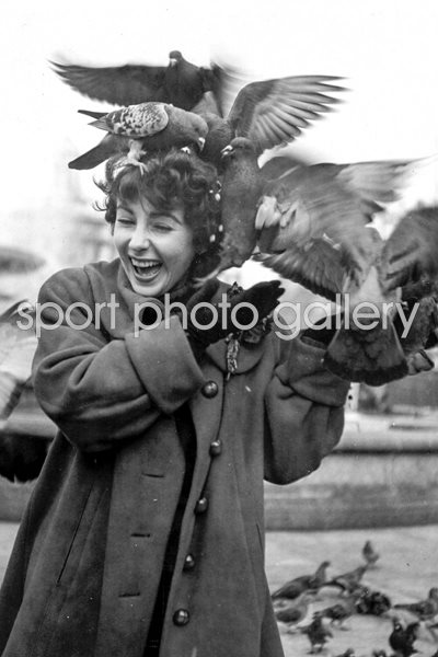 Taylor Feeds Pigeons