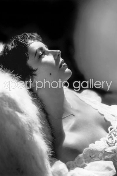 Elizabeth Taylor Reclines