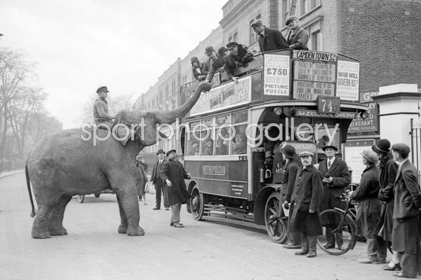Circus elephant in London 1928