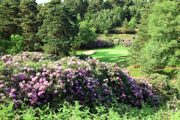Woburn Golf and Country Club 3rd Hole