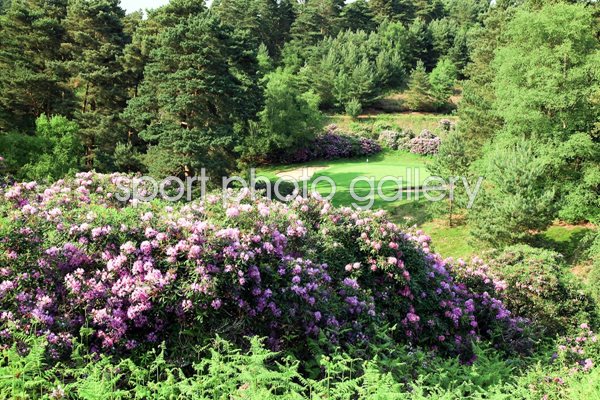 Woburn Golf and Country Club 3rd Hole