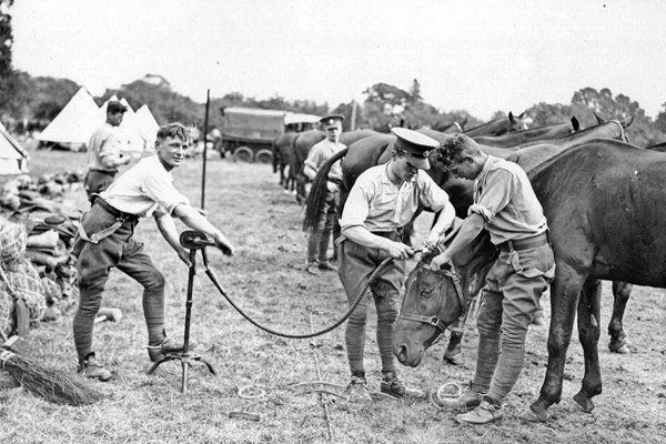 Horse's Haircut 1928