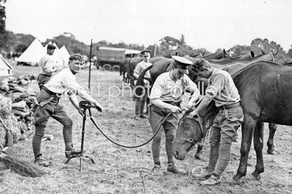 Horse's Haircut 1928