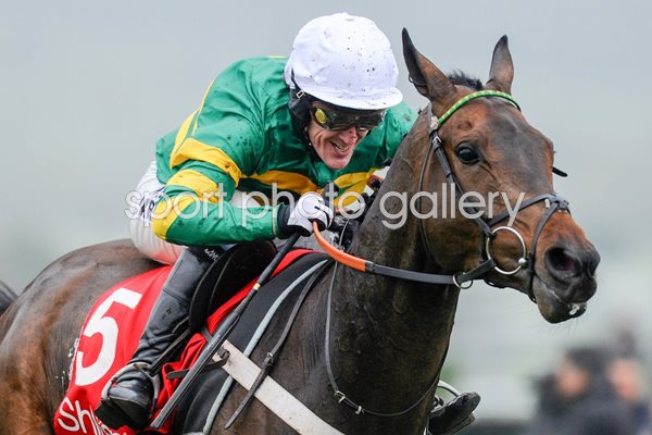 Tony McCoy Cheltenham Races 2013