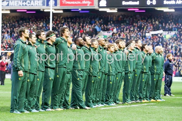South Africa v Scotland Murrayfield November 2013