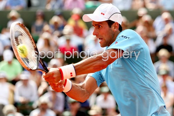 Novak Djokovic French Open Final 2014