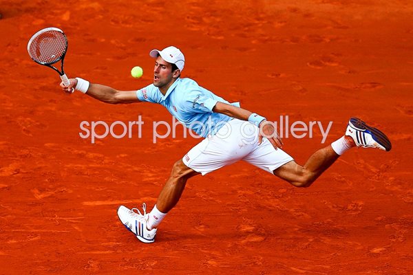 Novak Djokovic French Open Final 2014