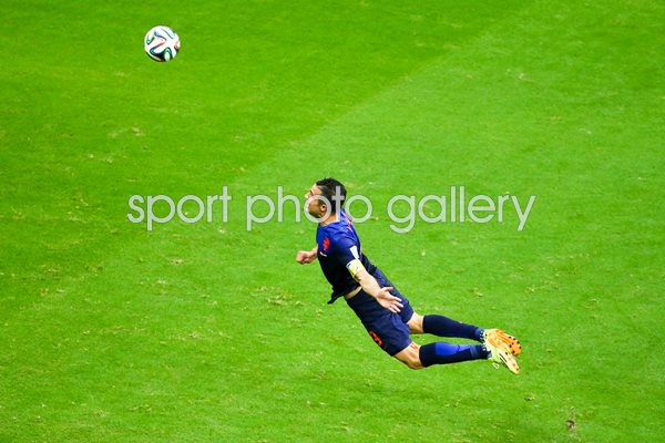 Robin van Persie goal v Spain 2014 World Cup