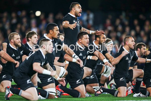 Liam Messam New Zealand Leads Haka 2014