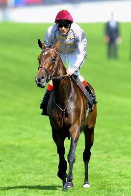 Frankie Dettori & Treve Royal Ascot 2014 