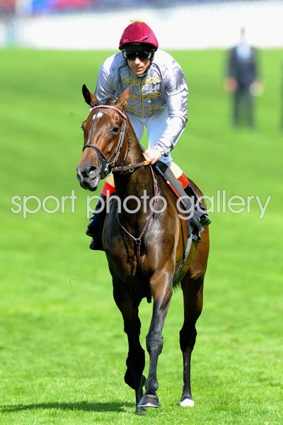 Frankie Dettori & Treve Royal Ascot 2014 