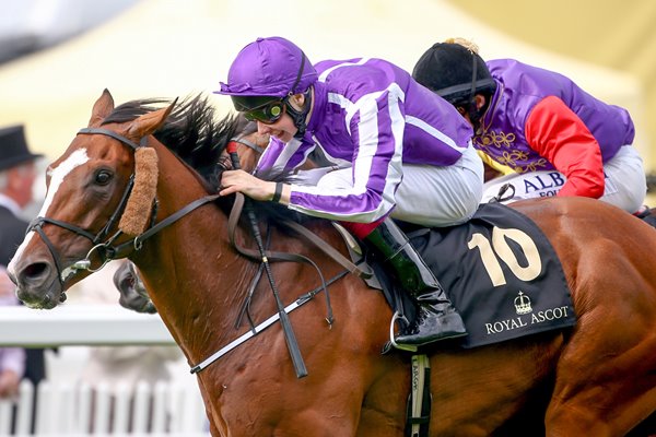 Joseph O'Brien & Leading Light win Gold Cup Royal Ascot 2014