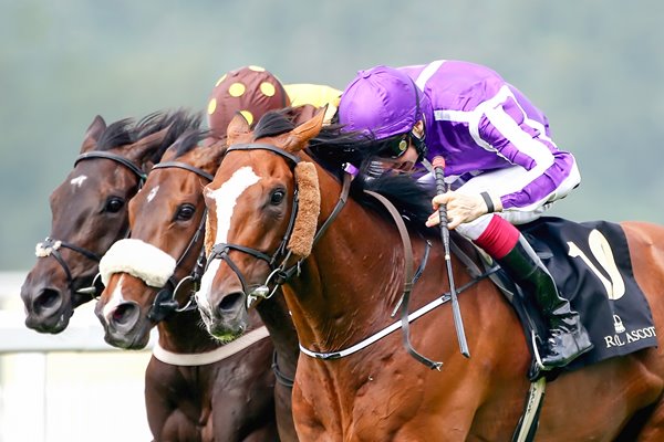 Joseph O'Brien on Leading Light win Gold Cup Royal Ascot 2014