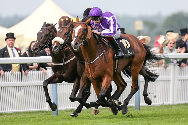 Joseph O'Brien on Leading Light win Gold Cup Royal Ascot 2014