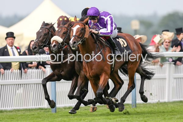 Joseph O'Brien on Leading Light win Gold Cup Royal Ascot 2014