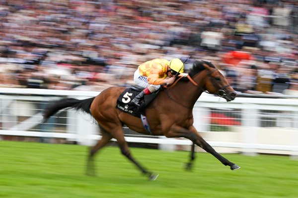 Andrea Atzeni riding Cursory Glance Royal Ascot 2014 