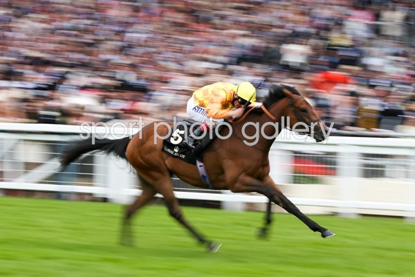 Andrea Atzeni riding Cursory Glance Royal Ascot 2014 