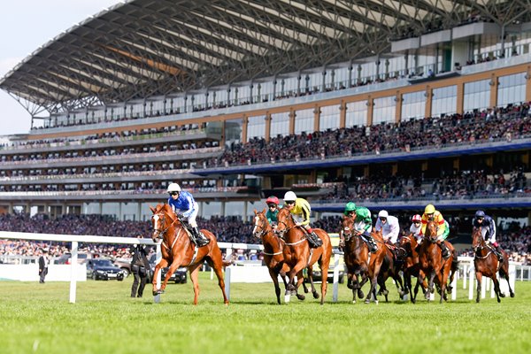 Royal Ascot 2014